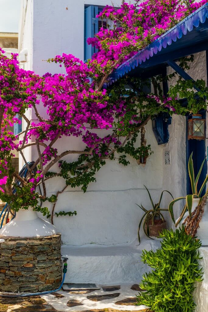 Every corner is a picturesque setting  with traditional white-washed buildings and colorful bougainvilleas!
